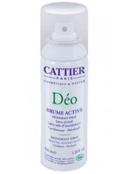 Дезодорант-спрей Brume Active